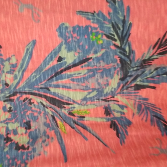 Lilly Pulitzer Dress - Picture 2 of 5